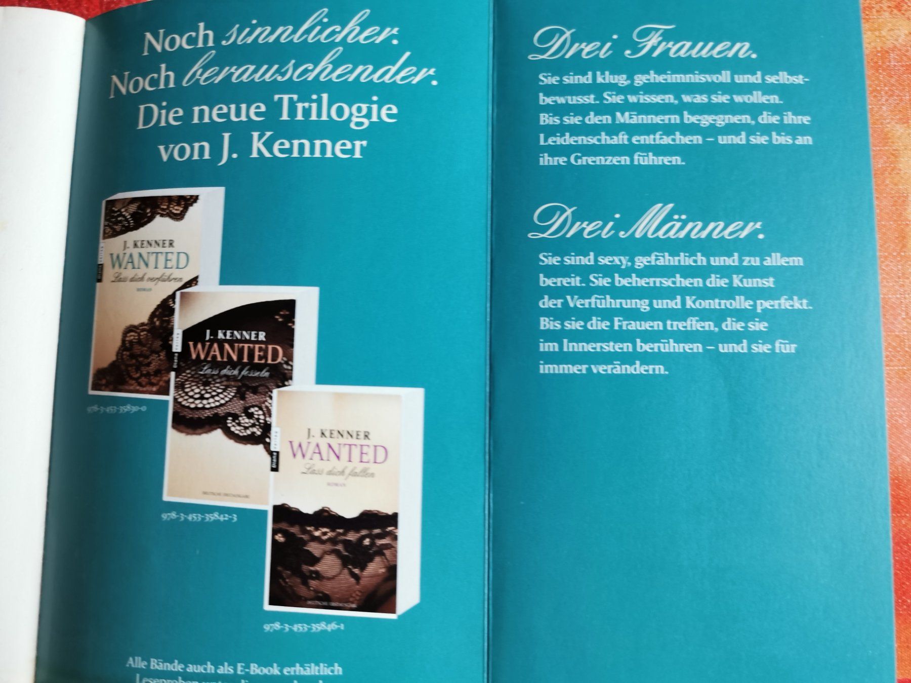 Libri: J. Kenner, Wanted Serie 1-3 – Usato da Kölliken venduto da mar5742 1