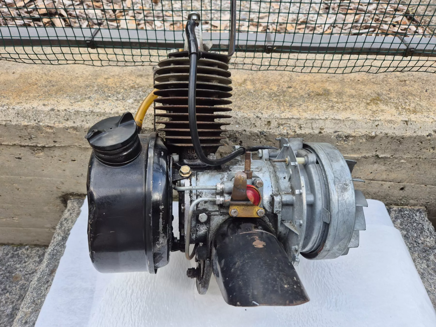 Solex Ciclomotori: Solex Velosolex – Difettoso da Giumaglio venduto da doro65 7