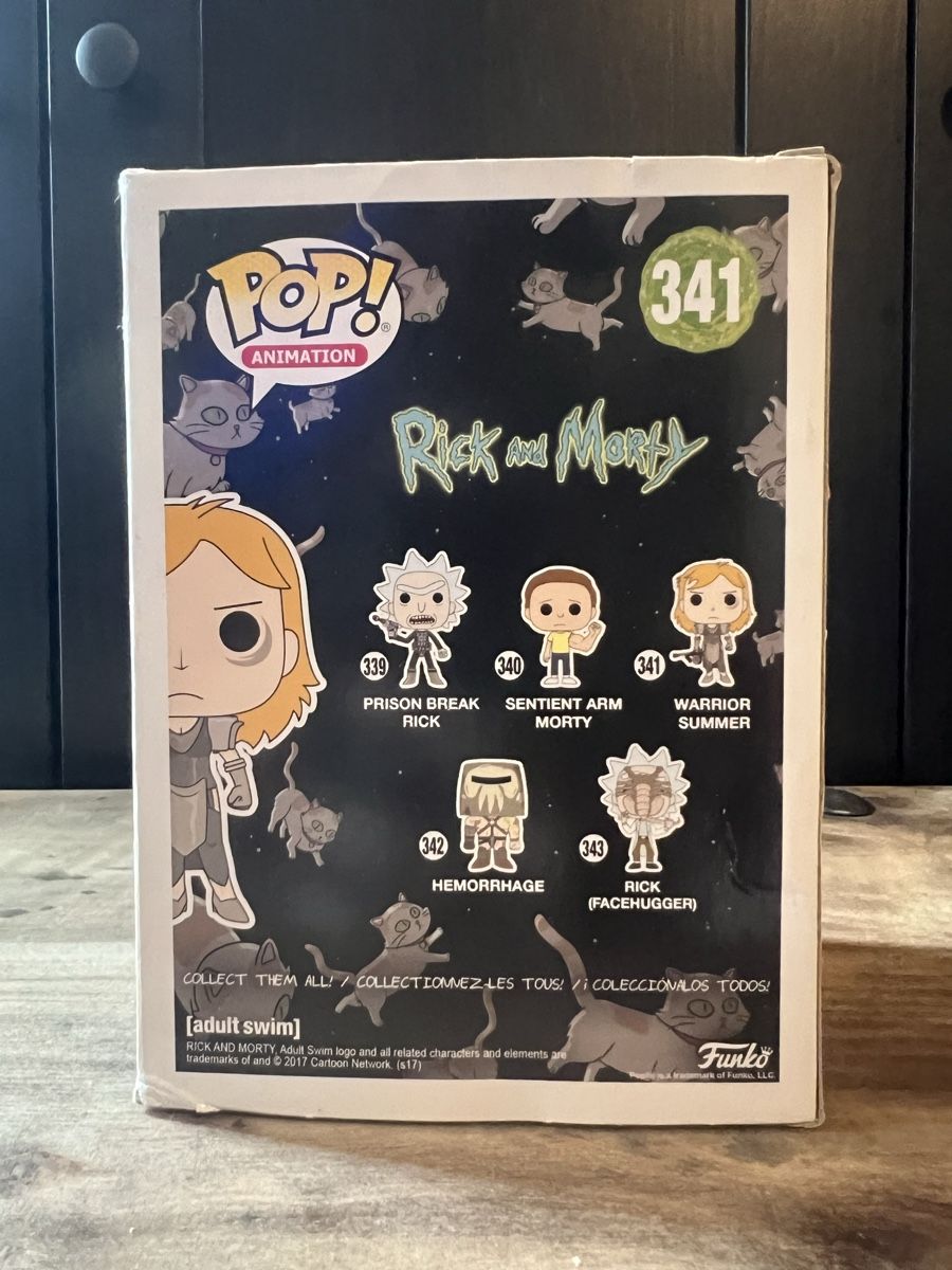Funko Statuette: Funko Pop Rick and Morty Warrior Summer #341 – Usato da St. Gallen venduto da Nino1111 2