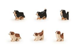 Welpe, Sennenhund, Barry, Trauffer, neu, Preis pro Hund
