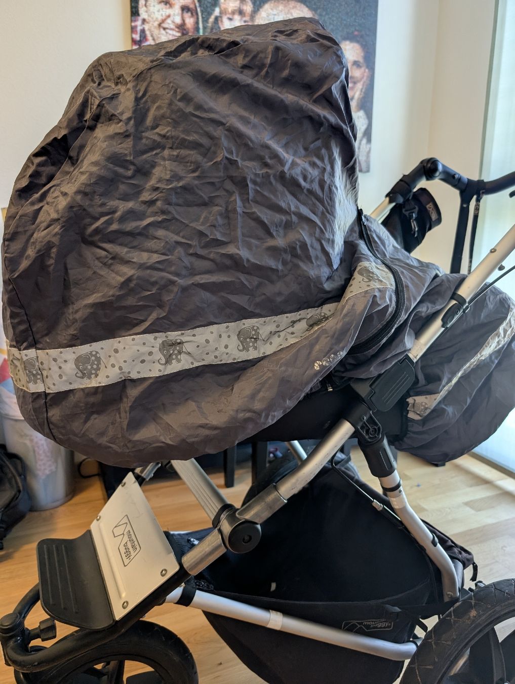 Mountain Buggy Carrozzine: Mountain Buggy Terrain Komplettset – Usato da Zürich venduto da borescus 2
