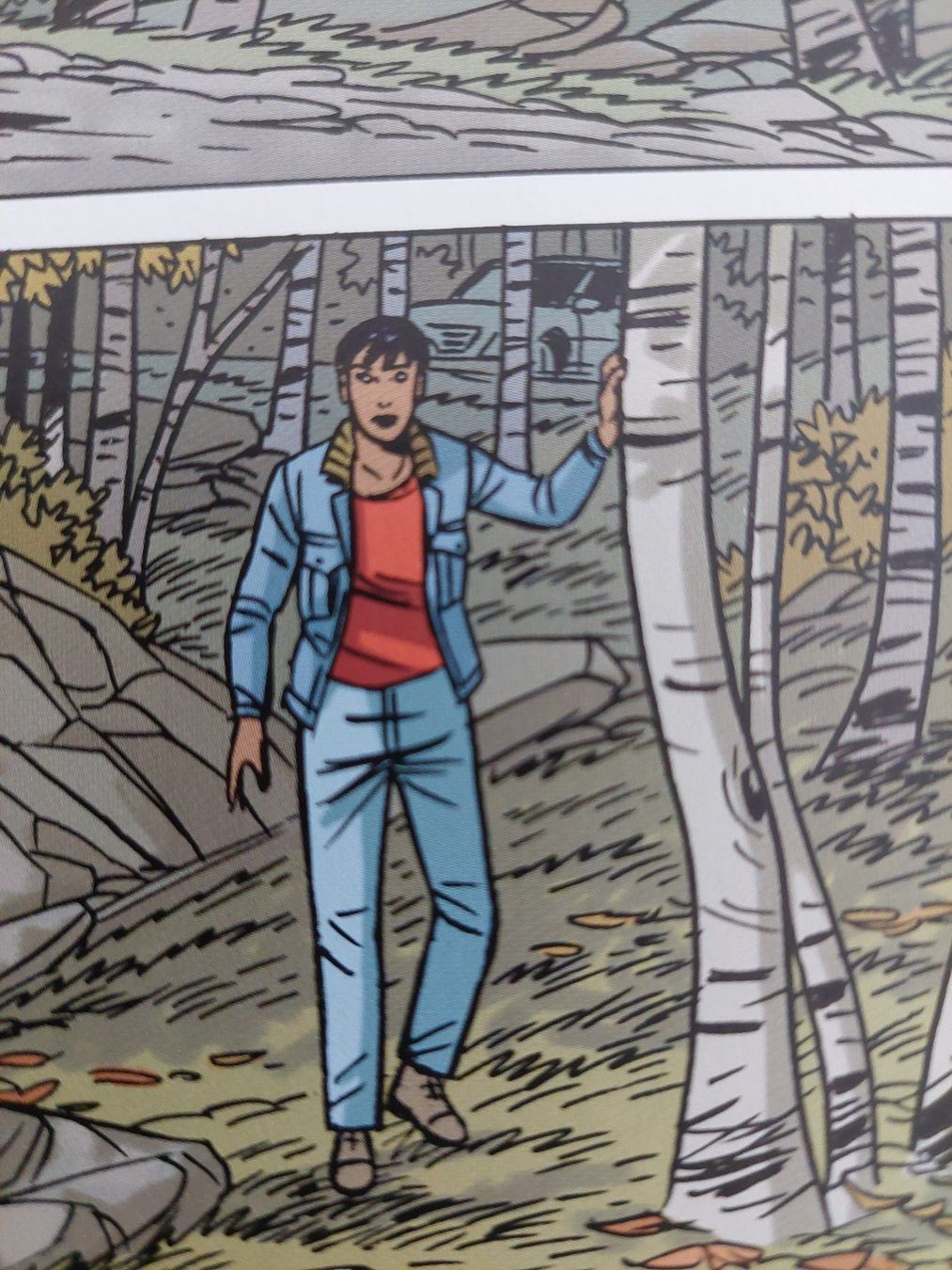 Comics: Caroline Baldwin T.12 Le Roi Du Nord EO BE+ – Gebraucht aus Genève von Blu_BD 3