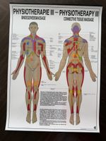 Vintage Physiotherapy Anatomy Poster – Vintage Physiotherapi
