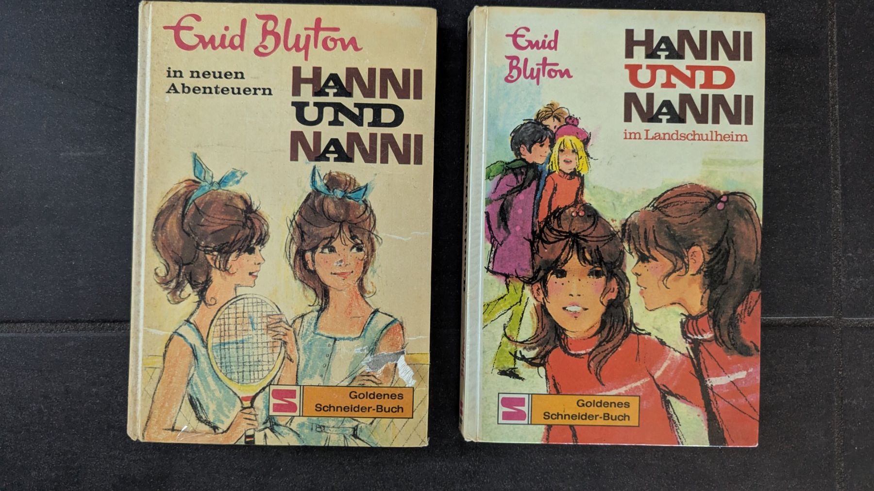 Libri: 2 Hanni und Nanni Bücher – Usato da Frauenfeld venduto da mf2_yb66