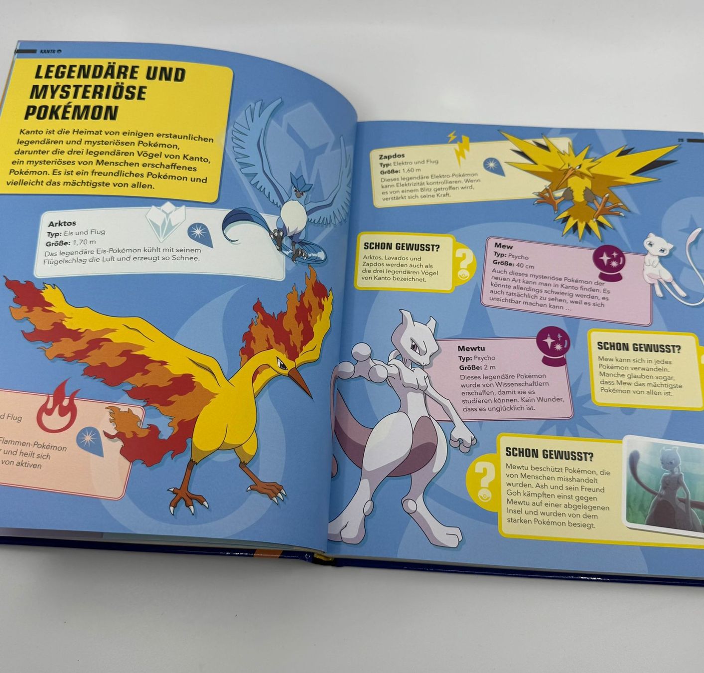 Libri: Pokemon - Der grosse Atlas – Usato da Herisau venduto da Seyashop1 4