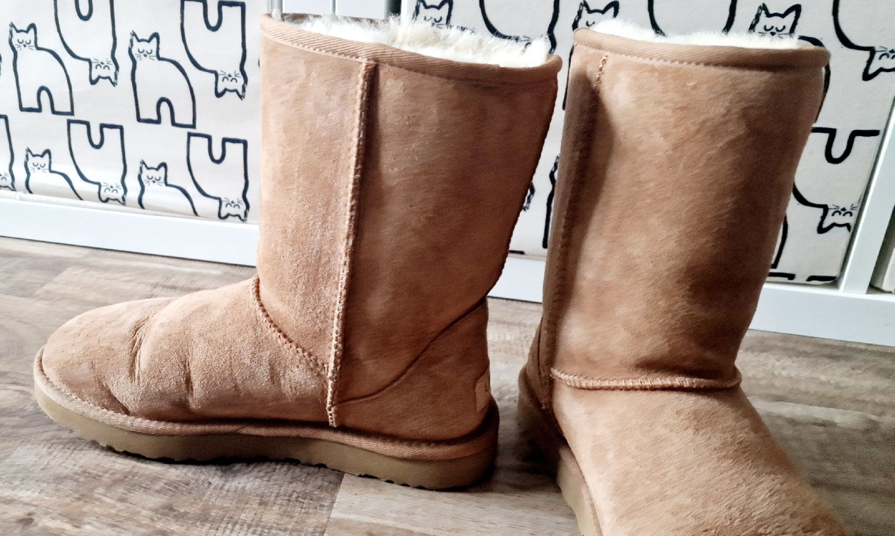 Ugg Damenschuhe: UGG Stiefel – Neu (gemäss Beschreibung) aus Olten von papalbina 2