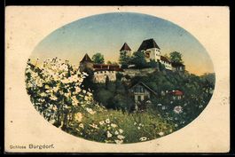 Künstler-AK Burgdorf, Schloss Burgdorf mit Blumenwiese