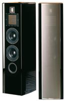 PIEGA P8 LTD Top Lautsprecher (ein Klangwunder für Kenner)