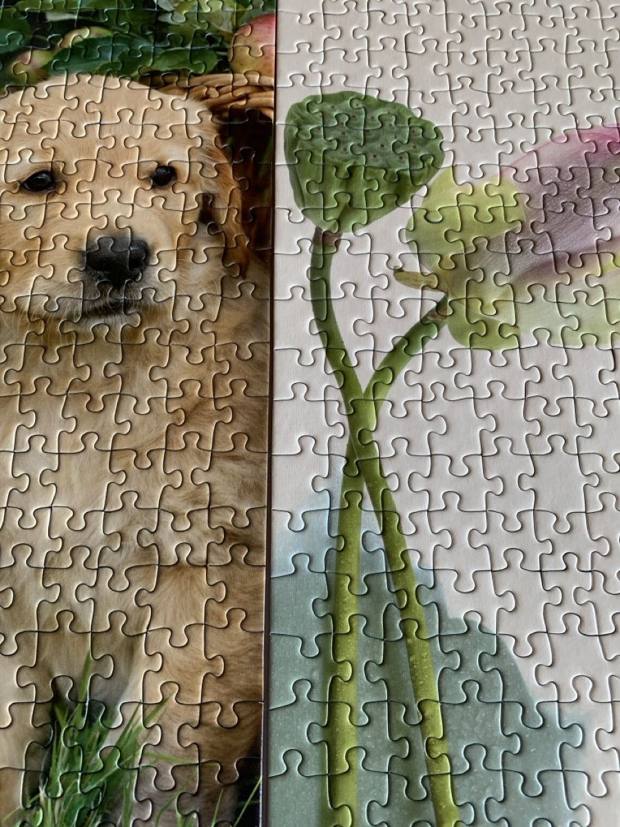 Puzzles: 2 Puzzles 🧩 Ravensburger (170 pièces ) – Neu (gemäss Beschreibung) aus Prilly von Sissi_1009 9