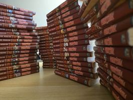 Fairytail Intégrale fr ( 63 tomes)