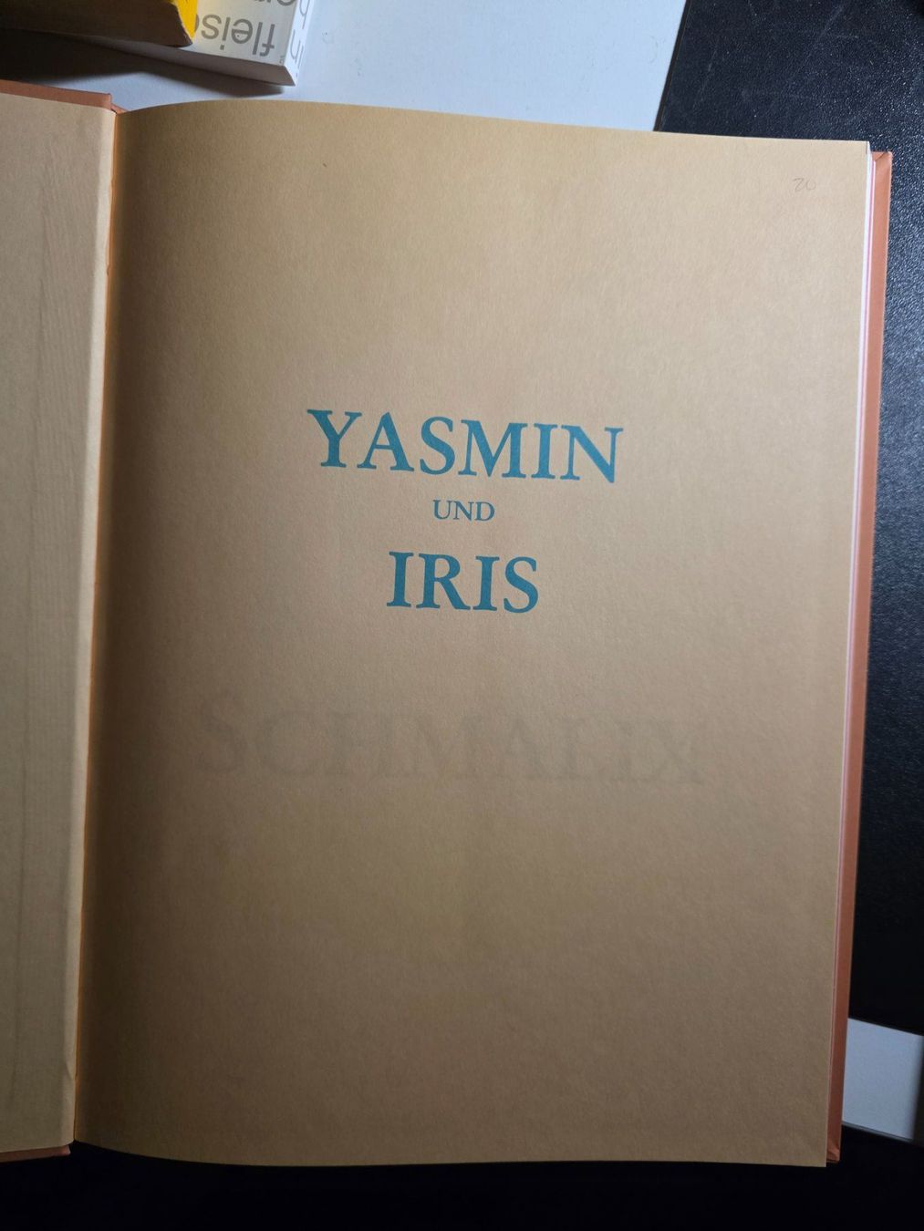 Libri: Yasmin und Iris - Hubert Schmalix - Kunst Buch 1986 – Usato da Walterswil BE venduto da Lonitti 8
