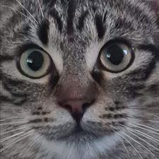 Profile image of MF_FRA