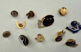 Pins Sammlungs 