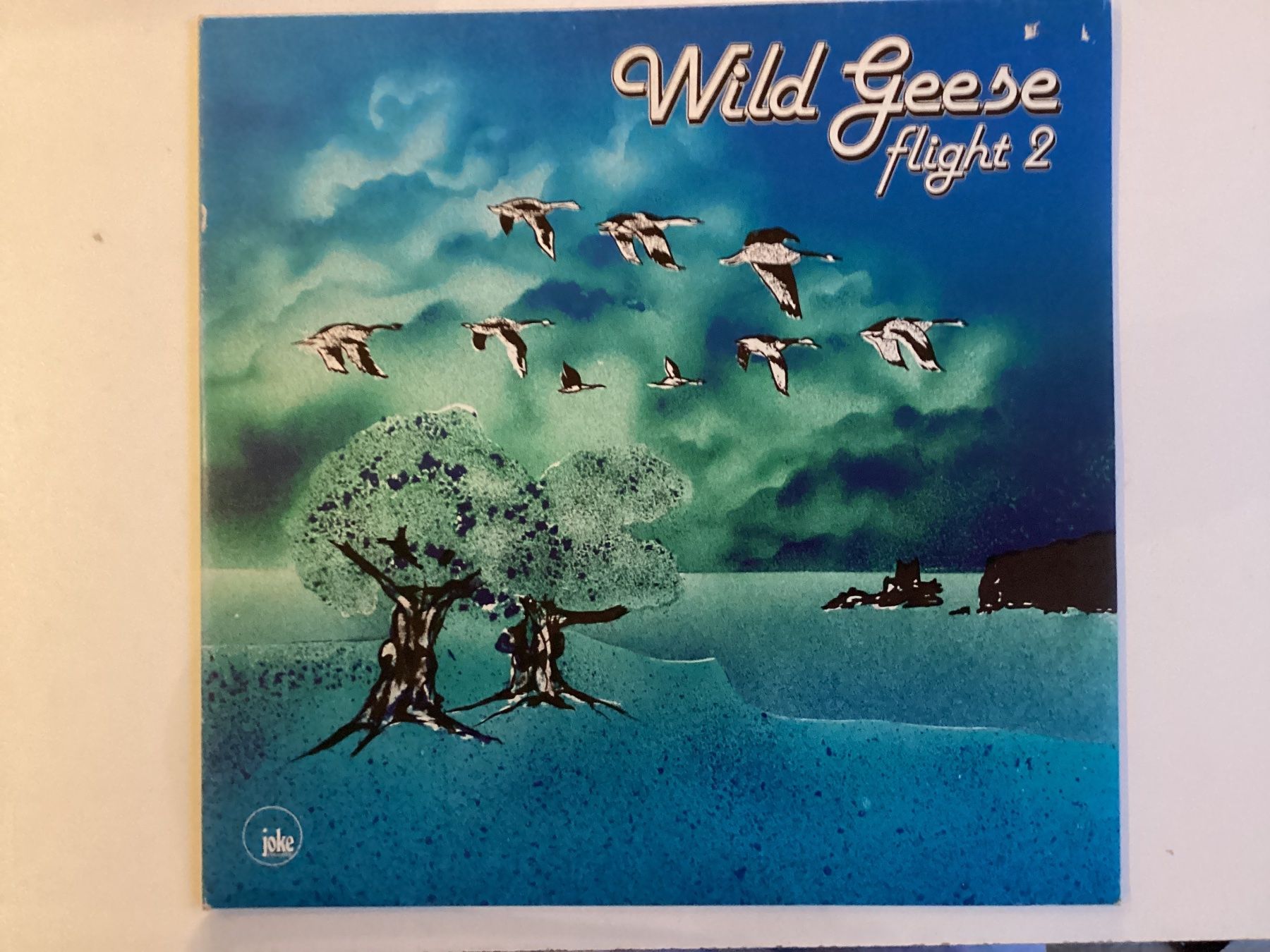 Dischi in vinile: Wild Geese LP - Flight Two – Usato da Gutenswil venduto da Hamzian