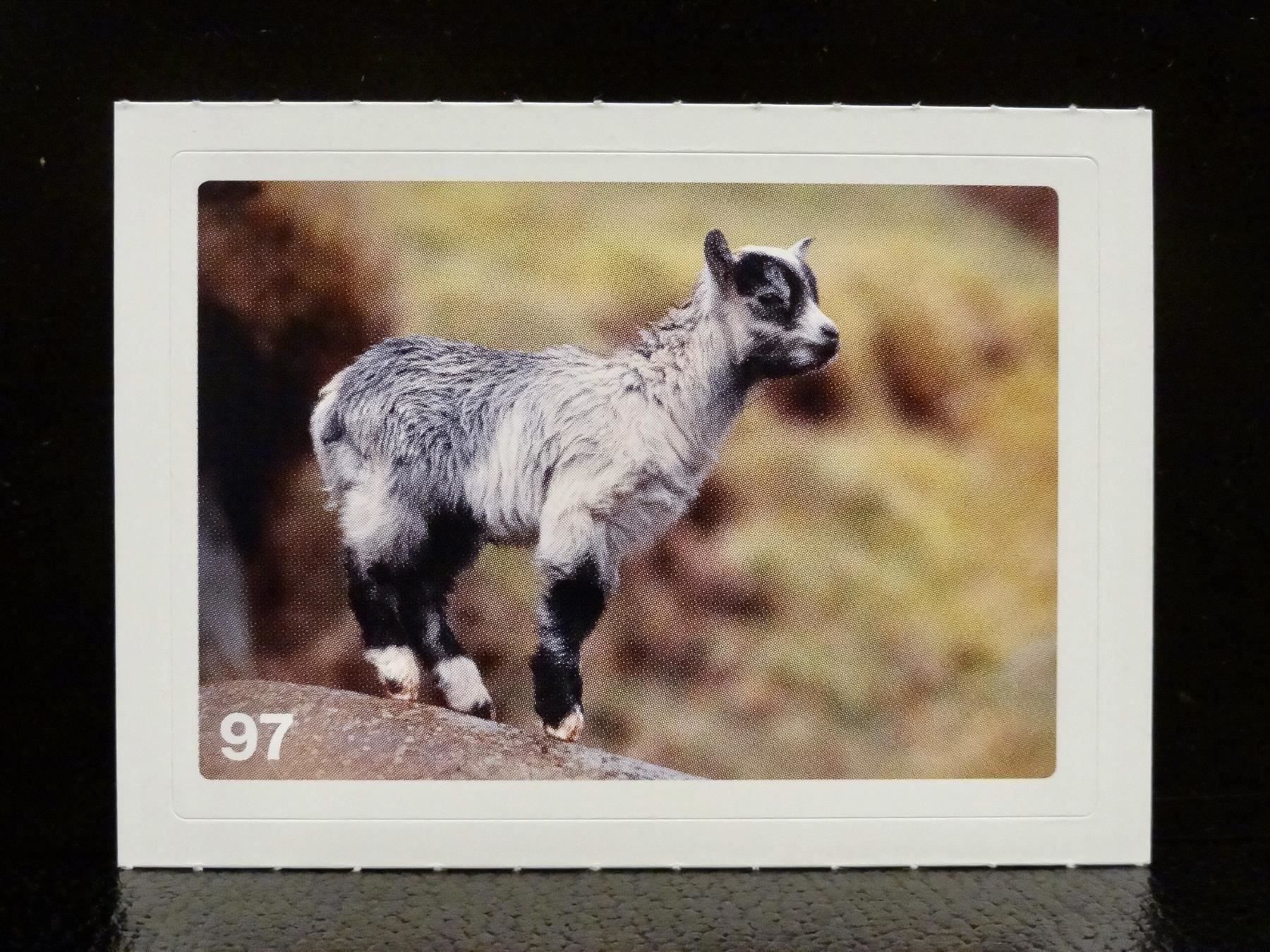 Migros Carte collezionabili: MIGROS MANIA Nature Detectives Nr. 97 – Nuovo e nell'imballaggio originale da Kerzers venduto da zimmergruen