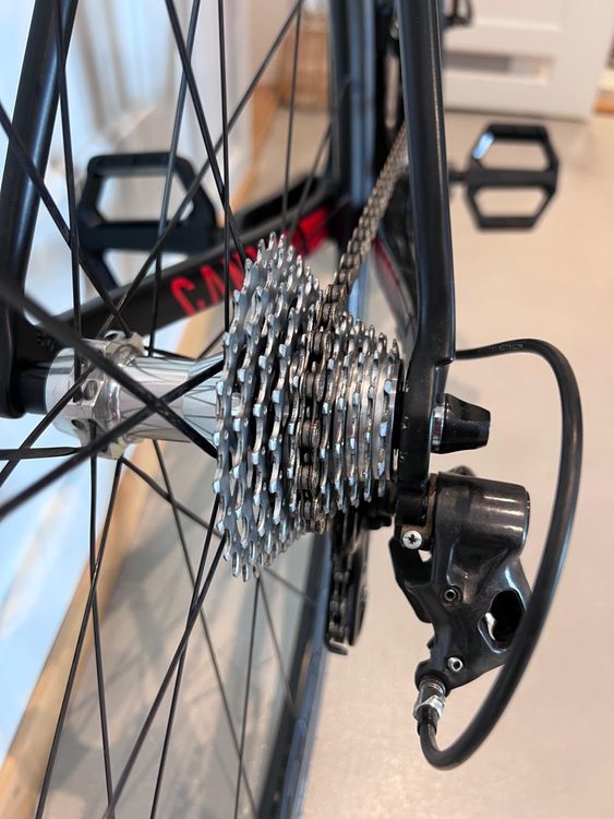 Canyon Vélos: Canyon Endurace CF Carbon/ XL/ Campagnolo Chorus / Preis VB – D'occasion à Zürich par sim_9twy 1