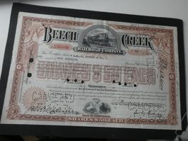 USA 1936, Eisenbahnaktie Beech Greek
