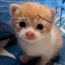 Profile image of quentin_1920
