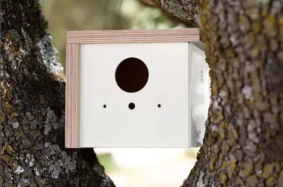Vogelhäuser: Vogelhaus Holz Metall weiss - Neu – Neu und originalverpackt aus Bern von Opportunety