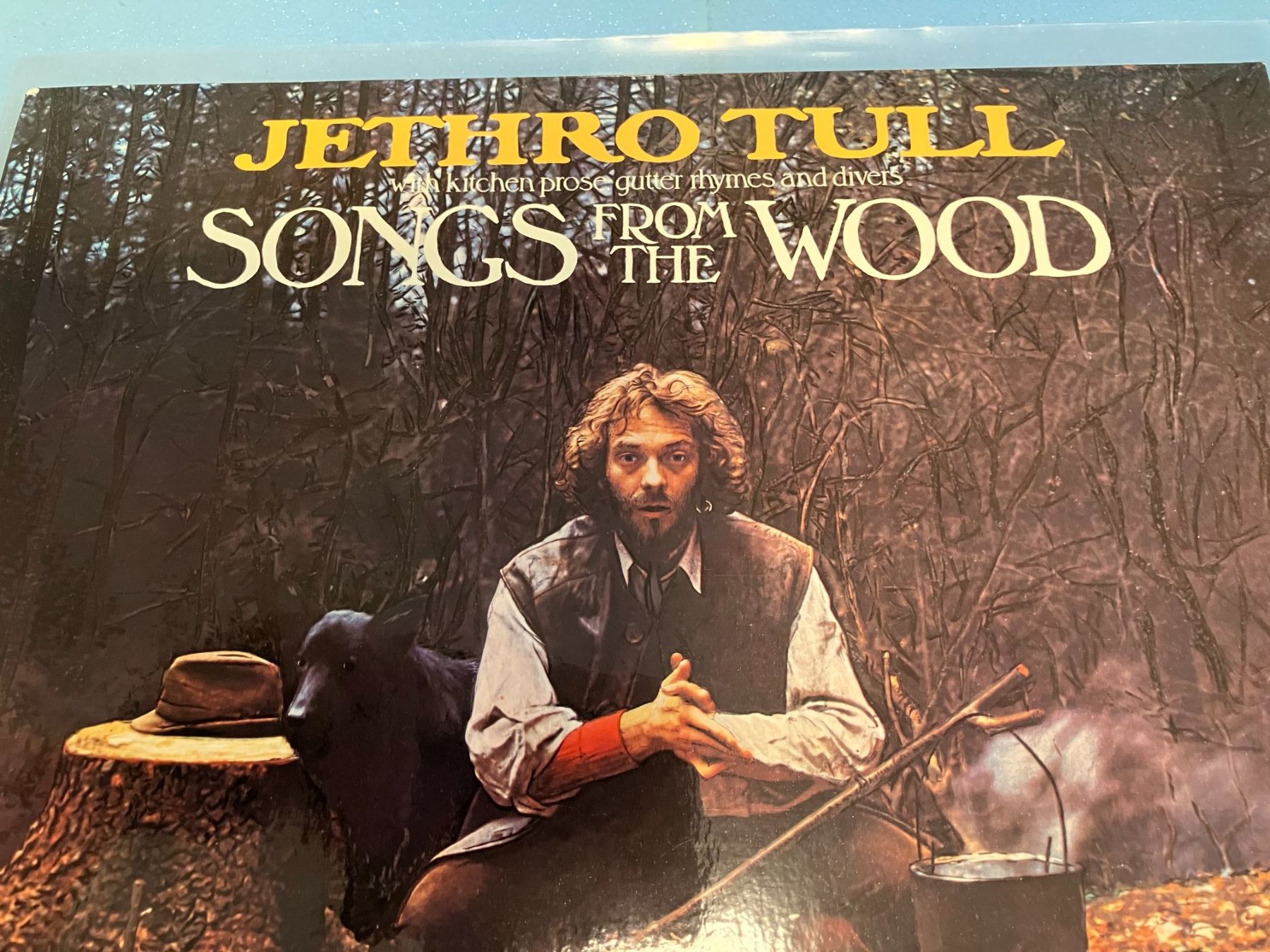 Dischi in vinile: Jethro Tull – Usato da Aarwangen venduto da Jukebox3 1