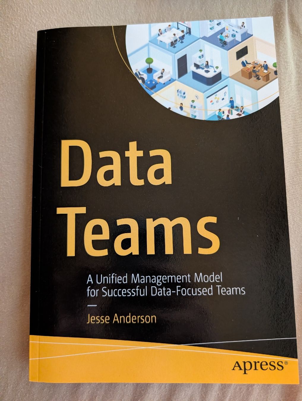 Livres: Data Teams - Jesse Anderson – Neuf (Voir description) à Oberwil-Lieli par stefim