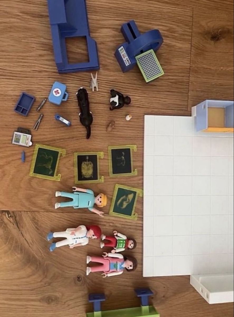 Playmobil Giocattoli: Playmobil Tierpraxis – Usato da Rothrist venduto da ste_by5v 2