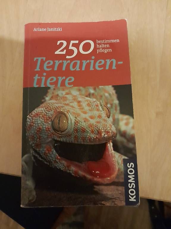 Bücher: Buch Terrarium – Gebraucht aus Ostermundigen von deb1deb1