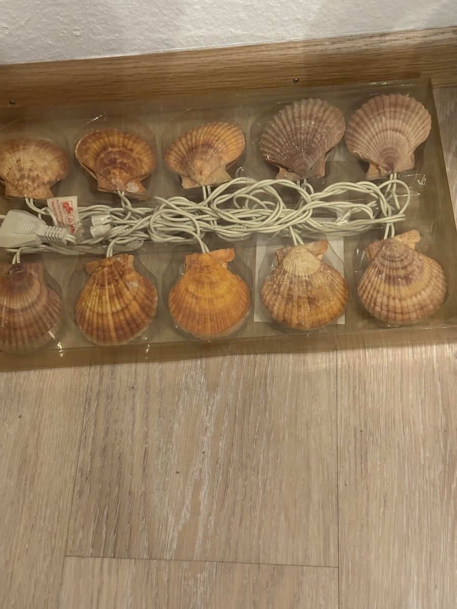 Ghirlande e barre luminose: Lichterkette mit Grosse Muscheln Neu – Nuovo e nell'imballaggio originale da Basel venduto da Ivana_4 4