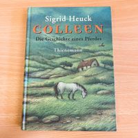 Colleen – Die Geschichte eines Pferdes