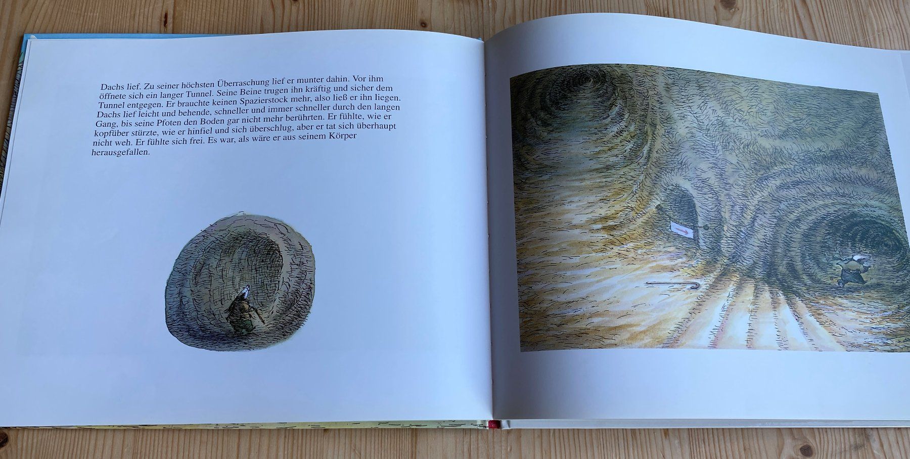 Libri: Leb wohl, lieber Dachs. v. Susan Varley – Nuovo (secondo la descrizione) da Weinfelden venduto da Cheyenne21 5