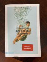 Roman Der grosse Sommer von Ewald Arenz guter Zustand