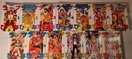 Love Hina 1-11, 13 und 14 (13x) Manga
