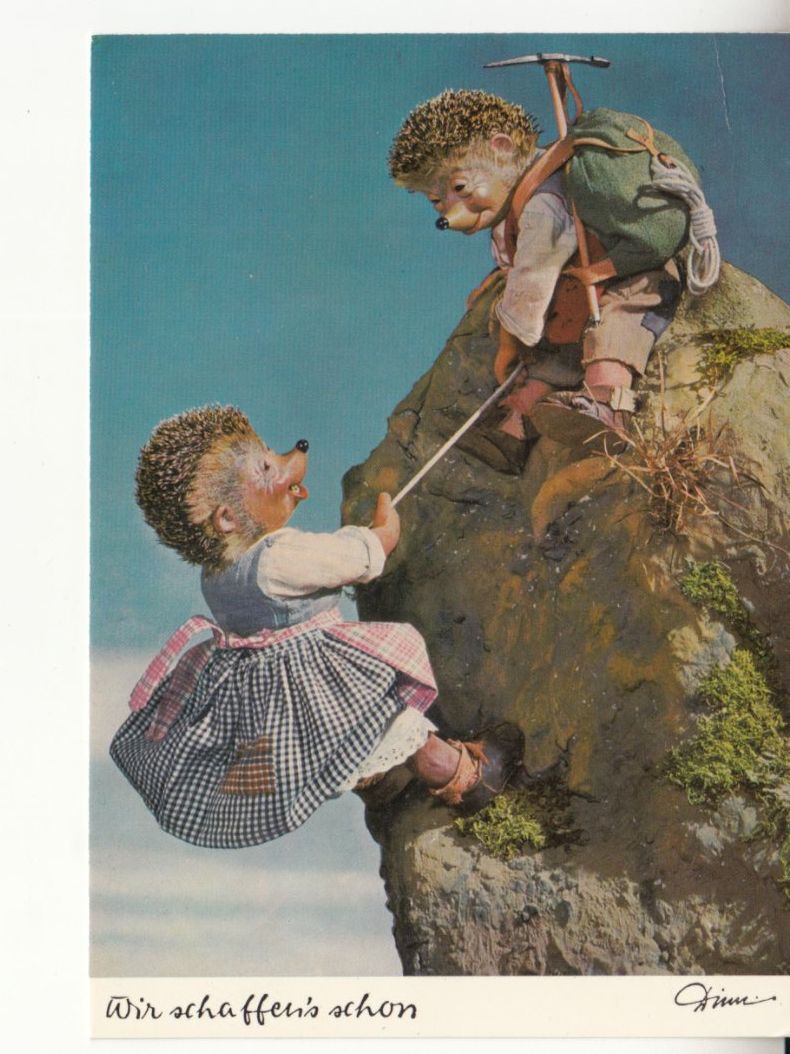 Cartoline postali: Mecki 1983 – Usato da Bürglen TG venduto da StampGraf