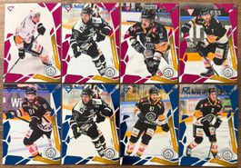Sportzoo 25/26 - HC Lugano (Pink & Blue)