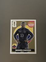 Panini Extra Sticker Moises Caicedo Gold