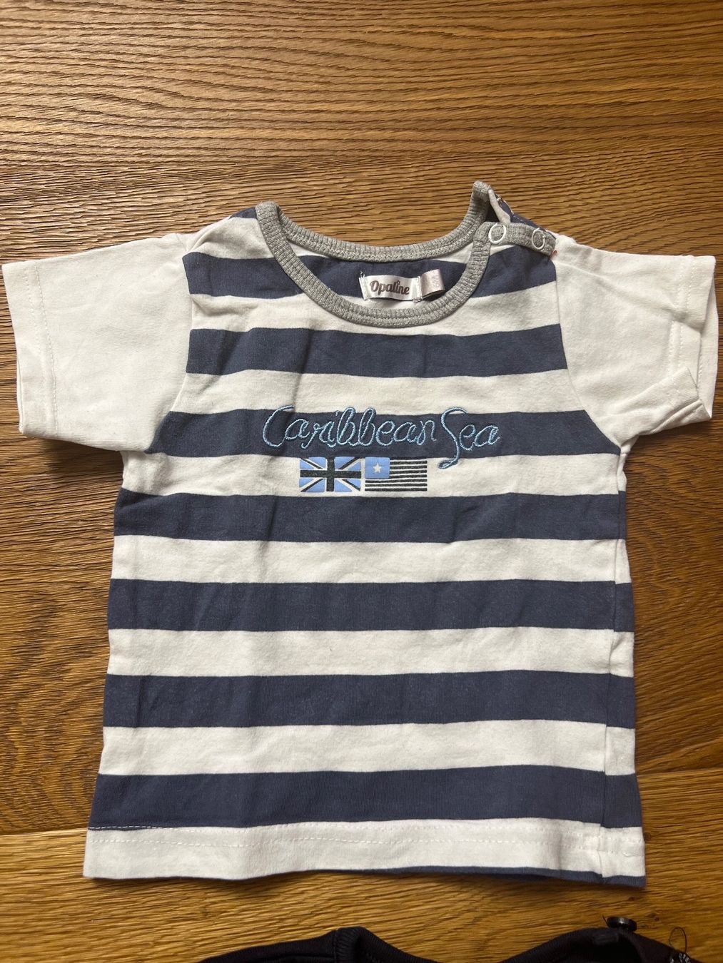 Camicie, T-shirt & Polo: 7 T-Shirts in Grösse 68 – Usato da Gipf-Oberfrick venduto da Sonne010203 5