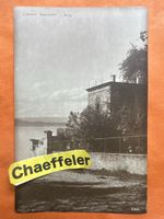 Originale Ansichtskarte von Castell Seelikon/Zug, alt!