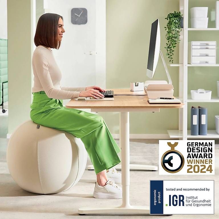 Leitz Sgabelli: Leitz Ergo Active Sitzball mit Anti-Wegroll-Design, 65cm – Usato da Sigriswil venduto da Siwaelti 1