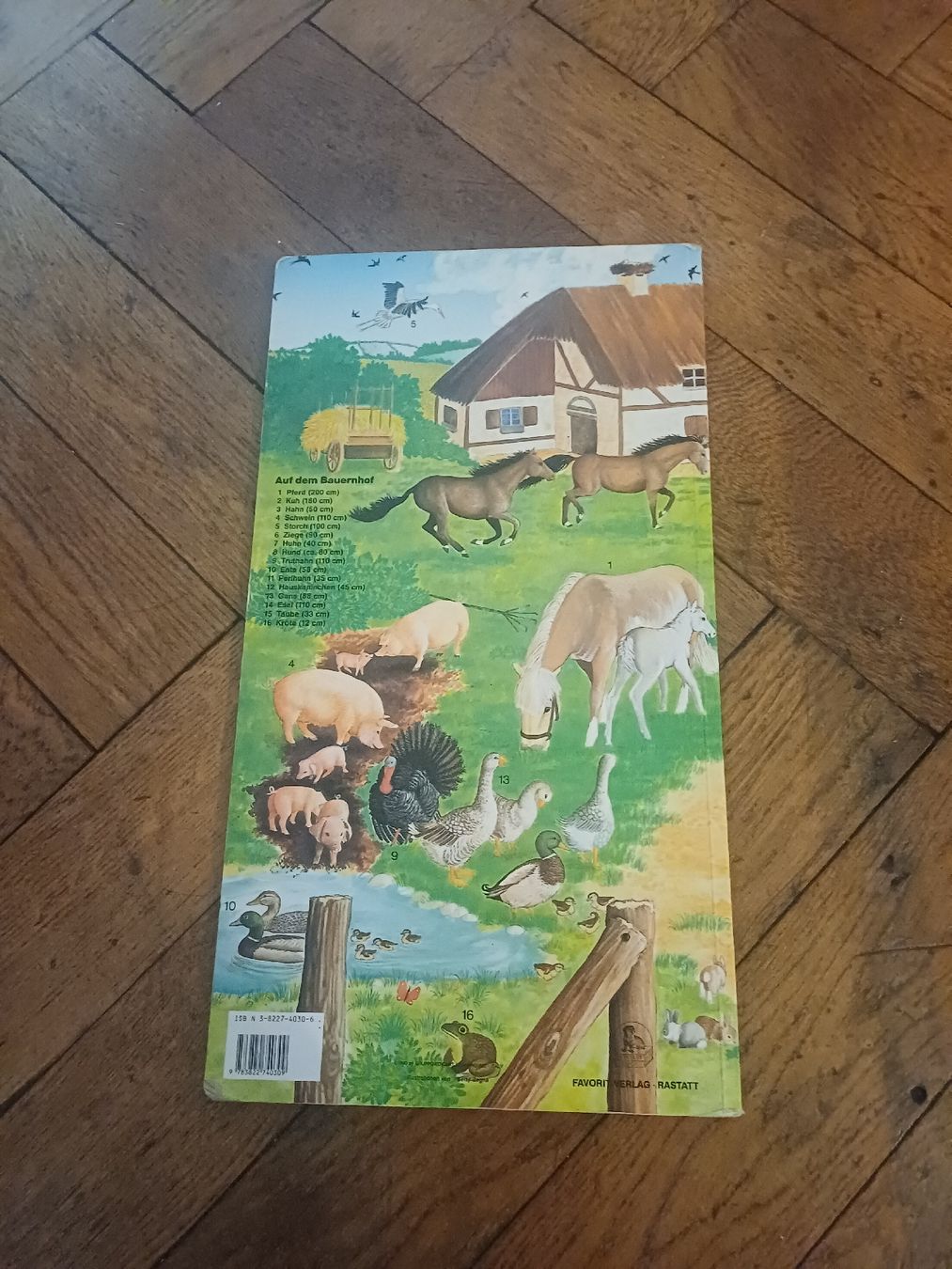 Libri: Kinderbuch: Tiere erkennen – Usato da Schönenwerd venduto da pomodor 1