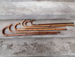 5 Wanderstöcke aus Holz verschiedene Modelle gebraucht