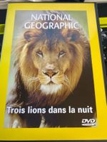 TROIS LIONS DANS LA NUIT - NATIONAL GEOGRAPHIC