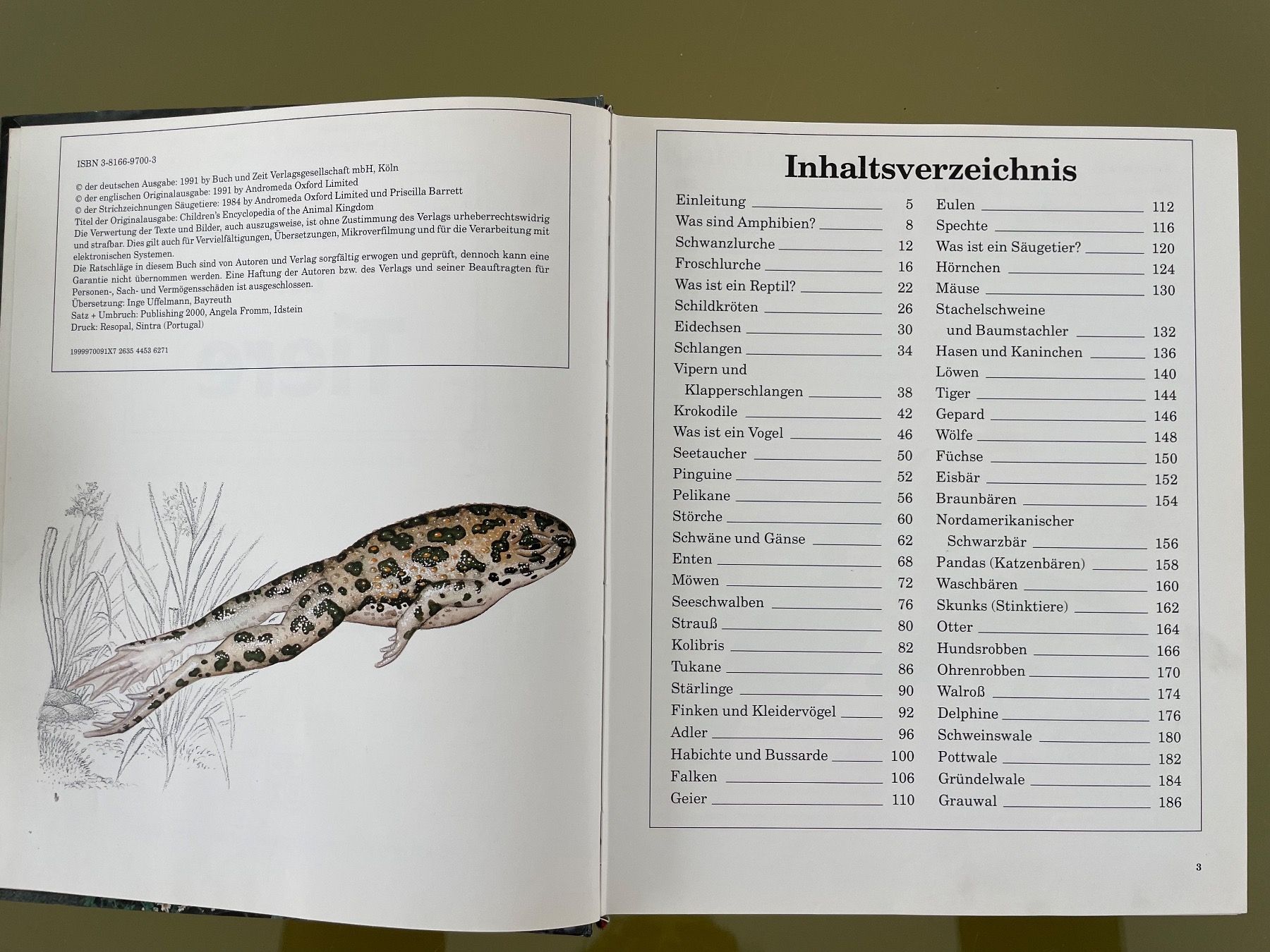 Libri: Faszinierende Welt der Tiere, 1991 – Usato da Sutz venduto da fx05 1