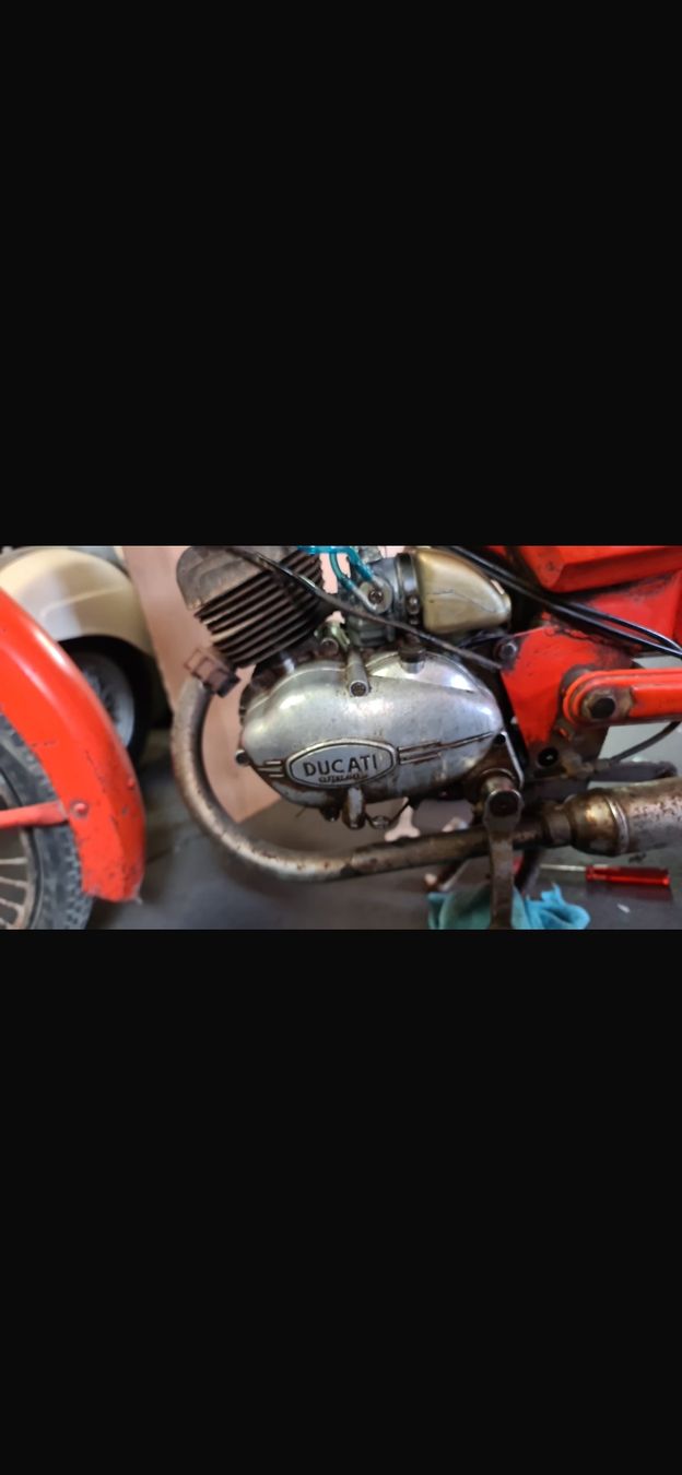 Ducati Strada: Ducati 50 cc brio – Usato da Chiggiogna venduto da Digiu95