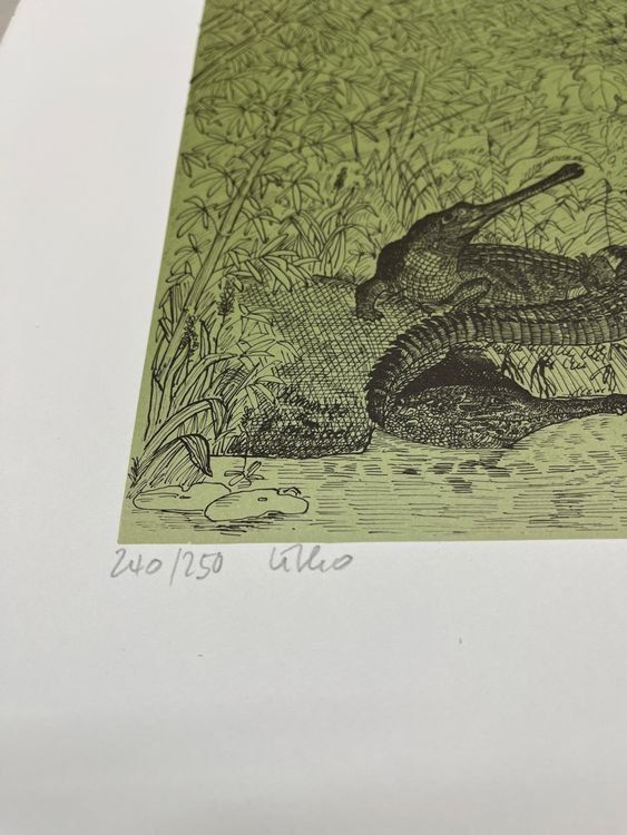 Grafiken & Lithographien: JÜRG FURRER LITHOGRAPHIE SIGNIERT NUMMERIERT – Gebraucht aus Gersau von grafik-kunst 5