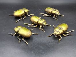 Set5 Silumin Wandbildern Skarabäuskäfer Insekt goldene Dekor