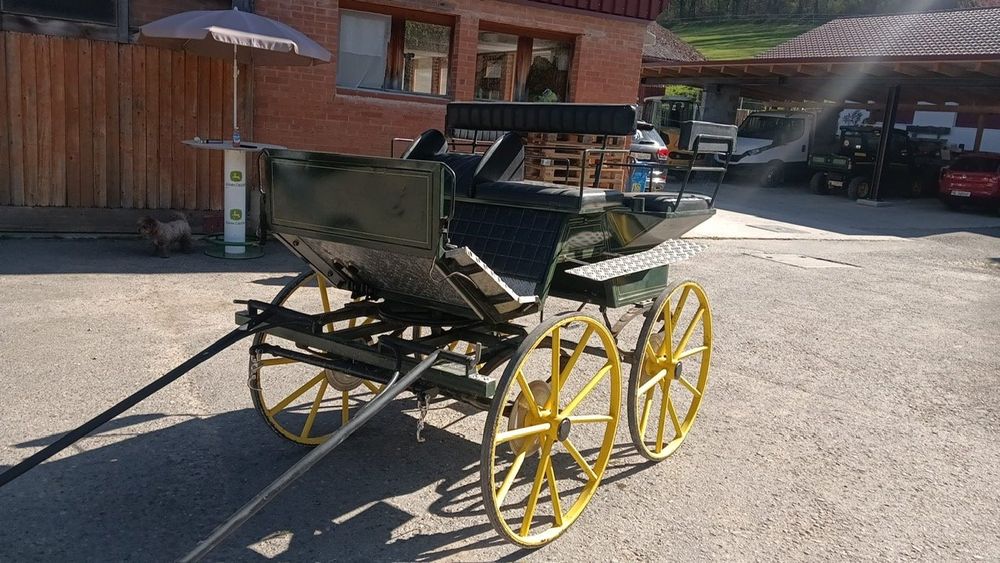 Kutsche (Gebraucht) in Arboldswil für CHF 200 – nur Abholung auf ...
