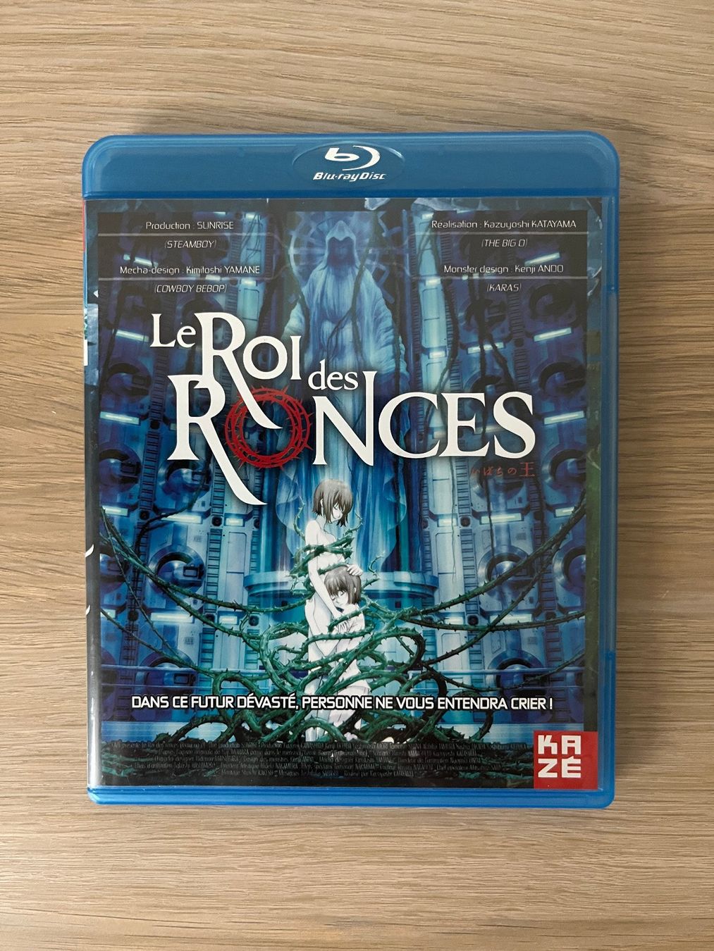 Tutti i DVDs: Le Roi des Ronces [Blu-ray] – Nuovo (secondo la descrizione) da Petit-Lancy venduto da cinrox