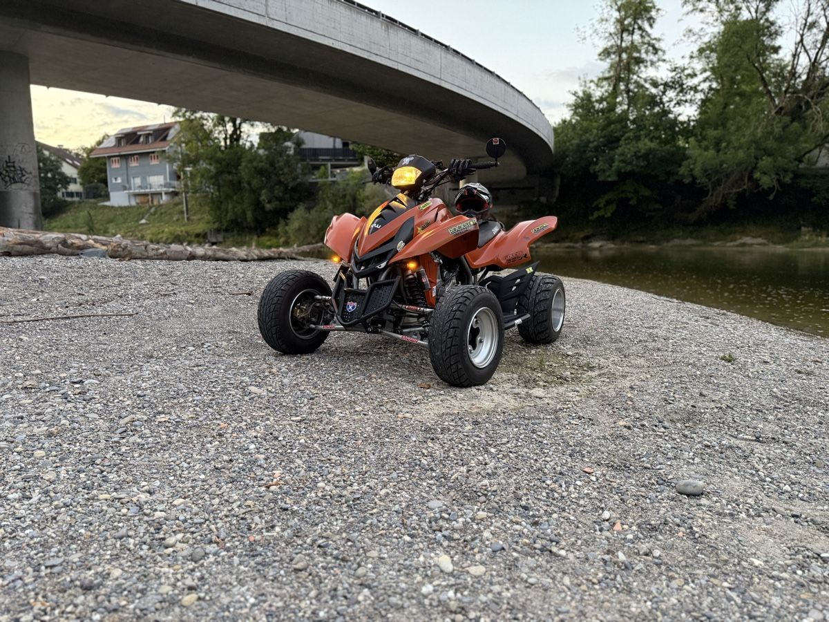 Dinli Quads: Dinli DL DMX 450 – D'occasion à Bischofszell par Ehelena 1