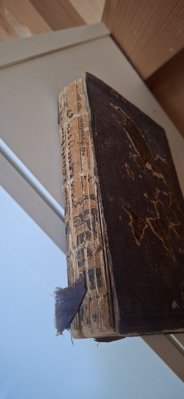 Livres: Kochbuch "Die Schweizerköchin" 1877 – D'occasion à Belp par fab_cfz8 2