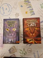 Warrior Cats neue Prophezeiung Mitternacht, Sonnenuntergang